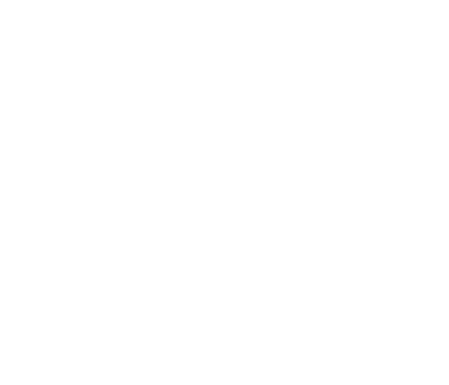 Concept Watch